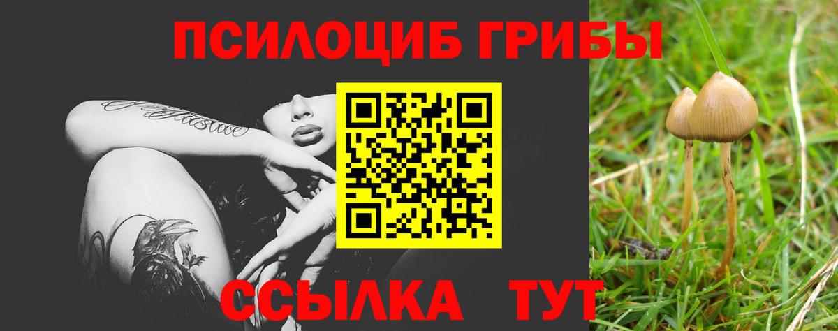 Галлюциногенные грибы Cubensis  Вход с VPN  Тверь 